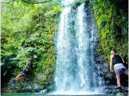 SALE! [Okinawa, Yanbaru] Exhilarating! River trekking with waterfall jumps, Tarzan, and tree swings (high-quality photos and video recording included / ages 3 and up)の画像