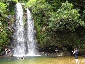 【沖縄・やんばる】やんばる清流リバートレッキングツアー(★各種割引あり★)の画像