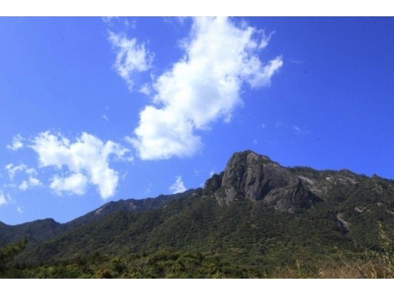 【鹿児島・屋久島】モッチョム岳（約７〜８時間の日帰りコース）１０才から参加OK！