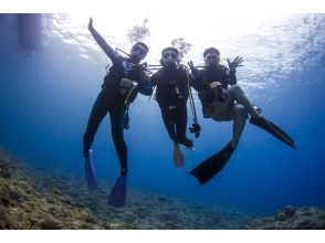 【鹿児島・沖永良部島】ウミガメ天国=沖永良部島で体験ダイビング！の画像