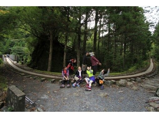 [Kagoshima / Yakushima] Trekking Jomon cedar (day trip course) Participation is OK from the age of 10!の画像