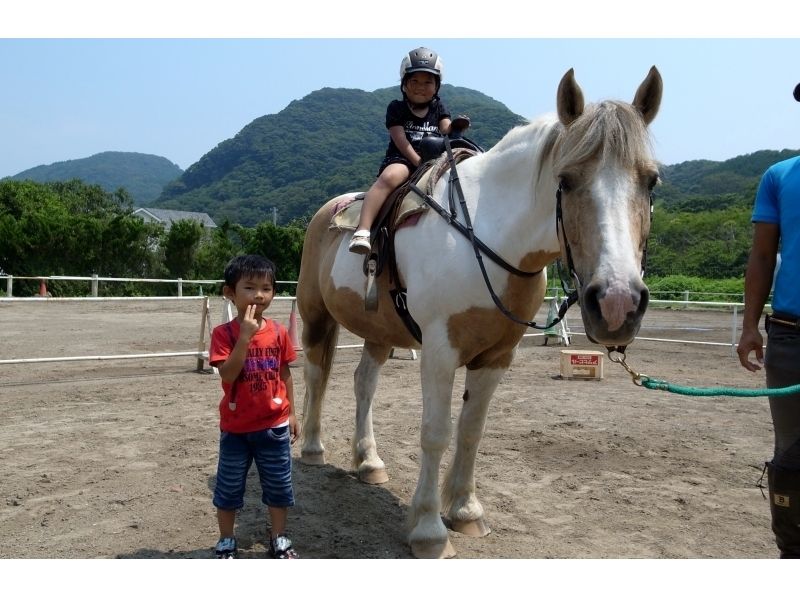 【静岡・南伊豆】初めての乗馬でも安心！引き馬コース