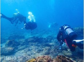 【鹿児島・下福元町】遊びながら感覚を思いだそう!リフレッシュダイビングの画像