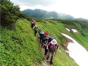 【北海道・トレッキング】トムラウシ山、十勝岳、羊蹄山、羅臼岳、斜里岳、利尻富士などから選択!の画像