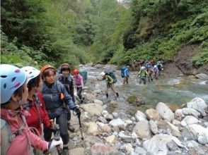 ハローポーター Hello Porter の予約 アクセス 営業時間 アクティビティジャパン