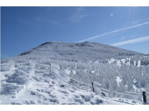 長野 八ヶ岳 初心者にやさしい雪山 縞枯山 茶臼山 登山 ロープウェイ利用 送迎あり 15才 Ok アクティビティジャパン 長野 八ヶ岳 初心者にやさしい雪山 縞枯山 茶臼山 登山 ロープウェイ利用 送迎あり 15才 Ok アクティビティジャパン