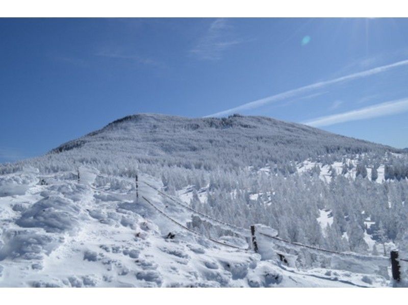 【長野・八ヶ岳】初心者にやさしい雪山「縞枯山・茶臼山」登山～ロープウェイ利用、送迎あり。１５才～OK