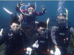 [Odawara Here is the entrance! Let Moguro the sea around the world! [Open Water Diver course]の画像