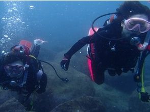 [Odawara] diving [2] board to choose each area point