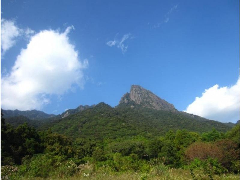 【鹿児島・屋久島】往復約７ｋｍ「モッチョム岳コース」（1日コース）上級者・リピータ―におすすめ！
