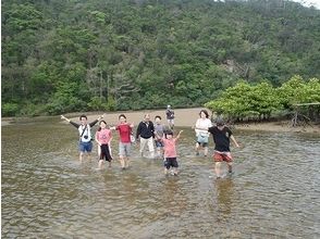 [冲绳名护]享受！满意！红树林探险学习课程【皮艇·徒步旅行】の画像