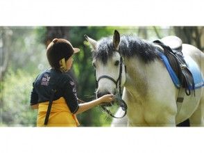 馬術俱樂部風 (HORSE RIDING CLUB WINDS)