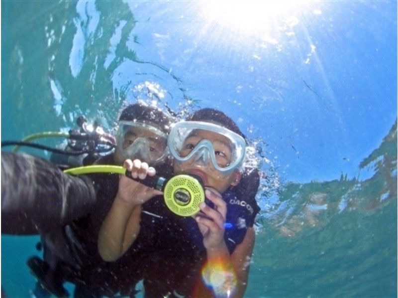 【静岡・伊豆/沼津】魚の群れの中で泳げます/体験ダイビング