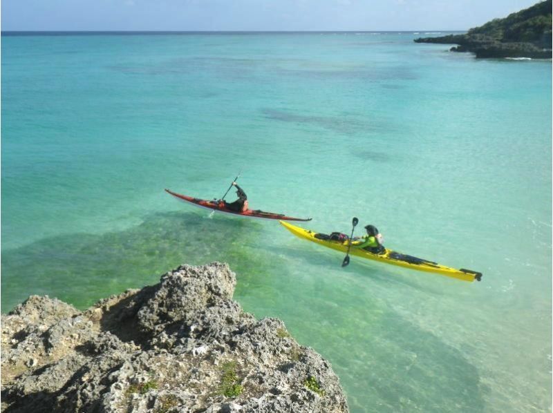 【沖縄東海岸・嘉陽コース】沖縄の大自然を満喫!達人ガイドのワイルドツアー!