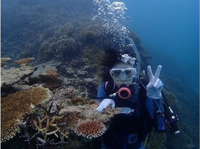 【沖縄・石垣】お子様OK！パナリ島で体験ダイビングコースの紹介画像