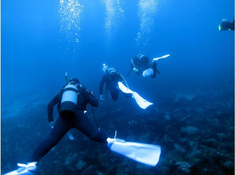 静岡 東伊豆 ダイバー になろう Padiオープン ウォーター ダイバー コース Cカード取得 地域共通クーポン利用可能プラン アクティビティジャパン