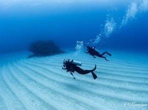 MARINE STAR(マリンスター)