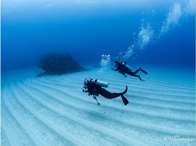 【北海道・SUP体験】透明度の高い支笏湖の湖面をクルージング！SUP体験（半日コース）の画像
