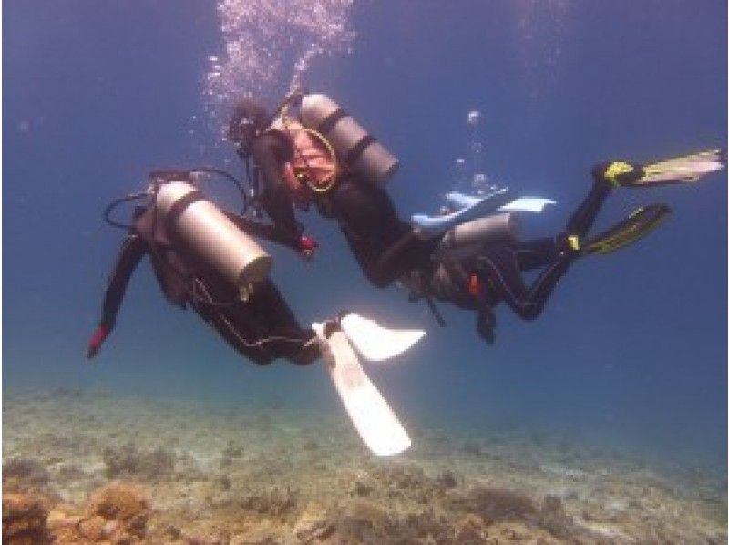 【沖縄・慶良間(ケラマ)諸島・座間味島】ケラマブルーの海で体験ダイビング【ボート・体験ダイビング】