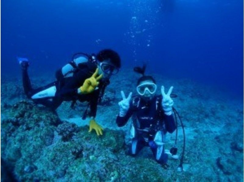 【沖縄県・宮古島】専属ガイドが1グループ毎にご案内！宮古島でおすすめのボート体験ダイビング　写真付き