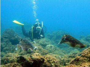 Amami Diving School HAGE MARINE