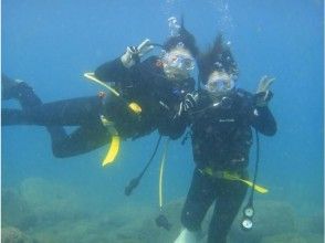 [Kochi / Shiwa] To the sea of Shimanto [Fan diving] 2 Boat diveの画像