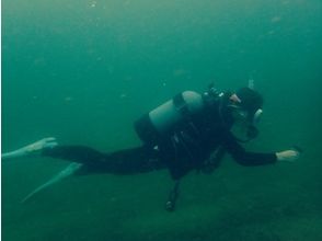 [Kagawa Seto Inland Sea 2 beach diving in niobium / - Takuma! (Fan diving)