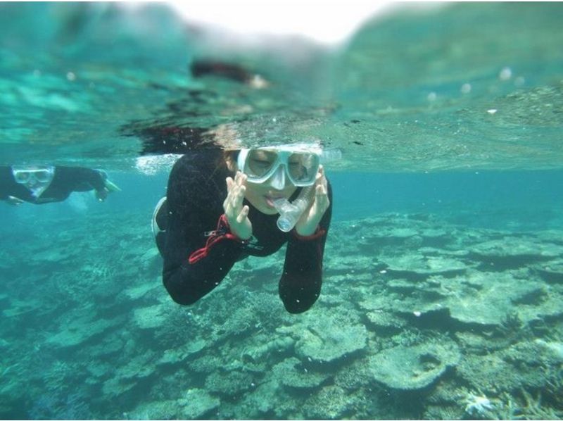 [冲绳-石垣岛】许多热带鱼包围的精致浮潜！ （半天课程）の紹介画像