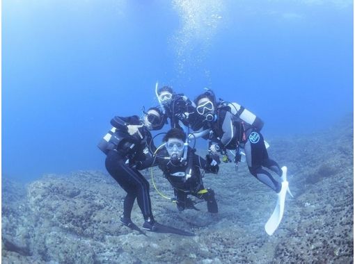 [Kagawa From Ehime ・ Kochi]Shikoku Neighbor fans to the main Diving(Minimum progress Number of participants 2 people ~)の画像