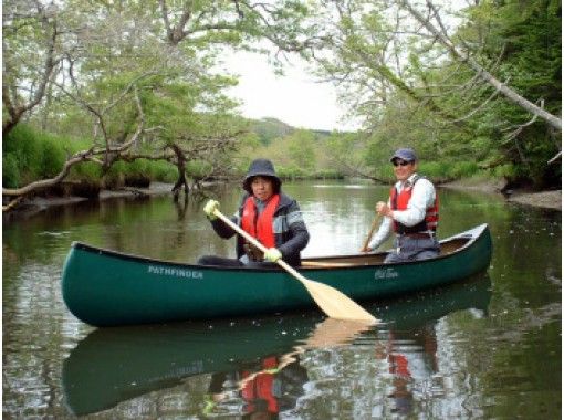 【北海道・別当賀川・風蓮湖】大きい翼の持ち主【オジロワシコース】の画像