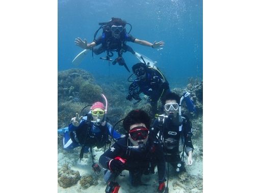 【沖縄・石垣島】透明の抜群のブルーナの海を楽しむ体験ダイビング（1日コース）の画像