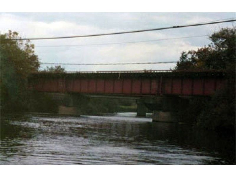 【北海道・厚岸別寒辺川下流部】カワセミ達がご案内♪【厚岸別寒辺牛湿原ハーフコースB】