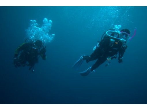 推薦[埼玉，索卡]第一個！體驗水肺潛水（游泳池和海洋）の画像