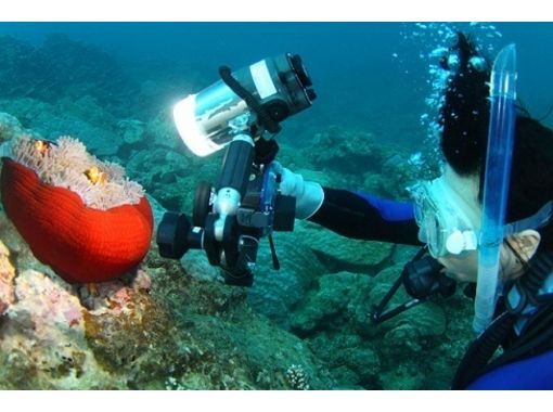 【 鹿儿岛县·大岛枪】适合初学者！让我们优雅地享受奄美海洋体验深潜吧！の画像