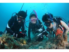 RELAX diving service