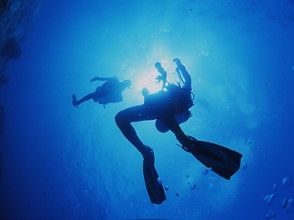 [Toyama Namerikawa] Be the first to start a dive in the Toyama Bay! Open Water Diver courseの画像