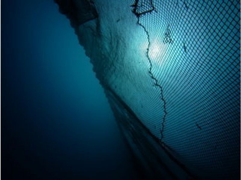 【福井・越前】緩やかな海と大海原を両方体感（1ボート1ビーチ）