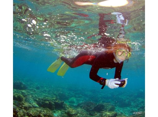 【 鹿儿岛 · 屋久岛 】随意体验大海！浮潜の画像