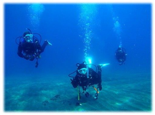 【静岡・熱海】プチリゾートアイランド初島の海を満喫しよう！【初島・ファンダイブ・2ビーチ】（日本語）の画像