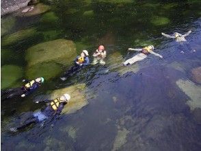 【鹿児島・屋久島】スポーツ要素だけでなく、じっくり自然と向き合える沢登り体験(1日ツアー)の画像