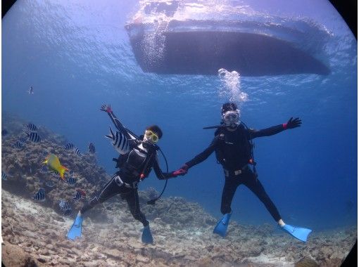 【沖縄・水納島・瀬底島】人気の島で体験ダイビング（ボートダイブ・2回コース）の画像