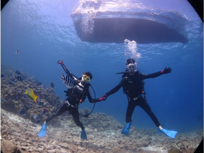 【沖縄・水納島・瀬底島】透明度抜群の綺麗な海で体験ダイビング（ボートダイブ・2回コース）