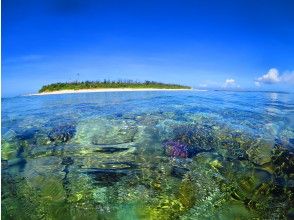 【ジャングリア沖縄に近い水納島・瀬底島】お得なシュノーケリング＆体験ダイビングセットコース！カップル・女子旅にオススメ！