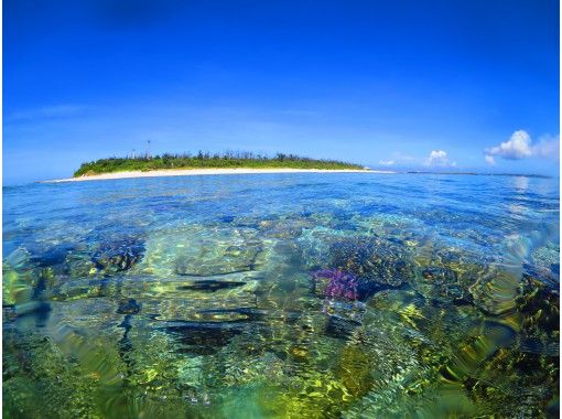 【ジャングリア沖縄に近い水納島・瀬底島】お得なシュノーケリング＆体験ダイビングセットコース！カップル・女子旅にオススメ！の画像