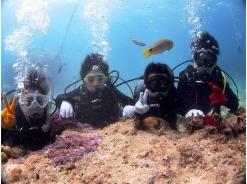 【沖縄・石垣島】ライセンス不要！石垣島の海を120%満喫！半日体験ダイビングの画像
