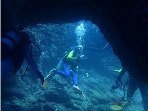 [Aichi Toyota] Let's peek in the sea! Diving [inexperienced person beginner unnecessary welcome license]