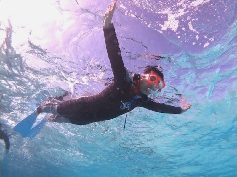 【沖縄・石垣島】浅瀬の幻想的な世界を体感！シュノーケリング！