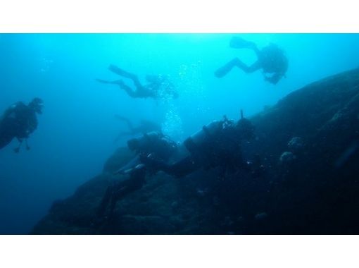 【 아이치 · 카리】 라이센스 없이도 바닷 속 세계를 즐길 수있다! ! 체험 다이빙 [미경험자 · 초보자 환영]の画像