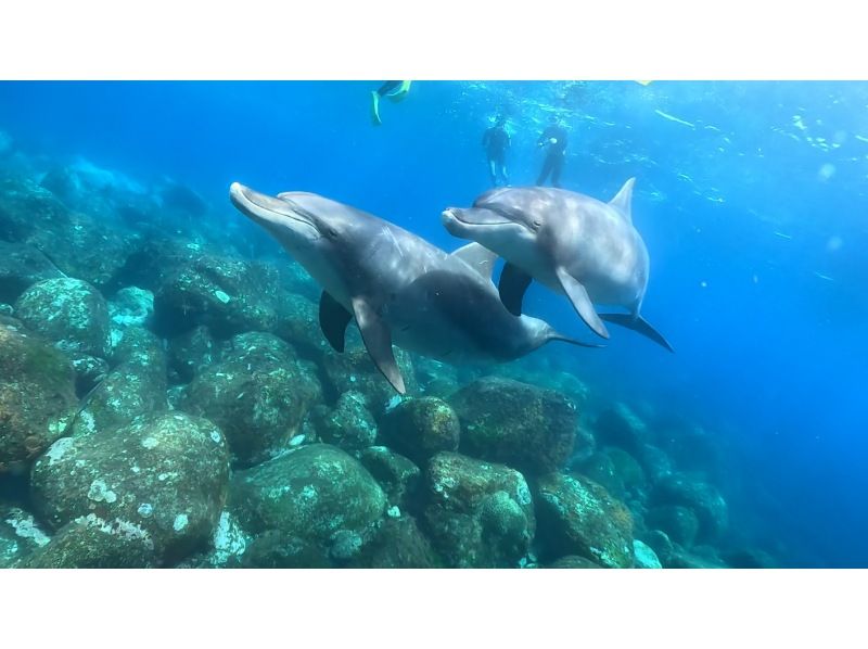 【北海道・SUP体験】透明度の高い支笏湖の湖面をクルージング！SUP体験（半日コース）の画像