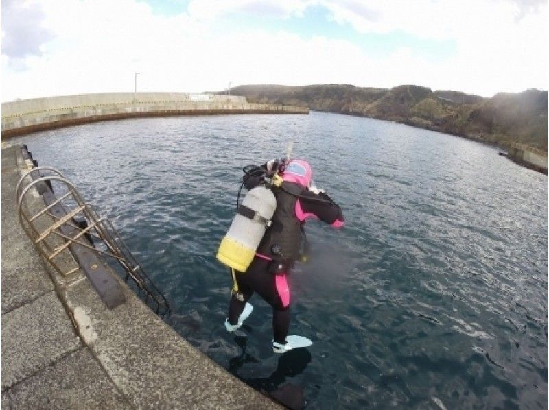 【東京 三宅島】スキルを身につけライセンスを取得しよう!【NAUIスクーバダイバー】